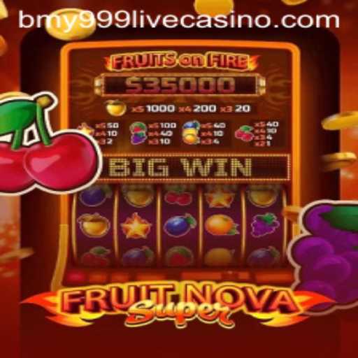 FruitNovaSuper: A Thrilling Adventure in the World of Bmy999