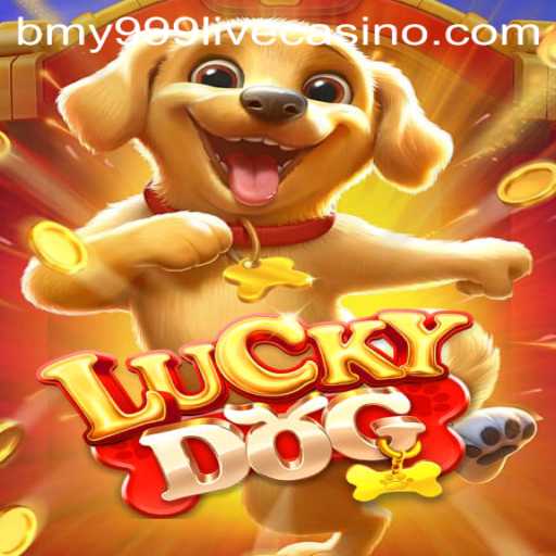 Discover the Thrilling World of LuckyDog: A Comprehensive Guide